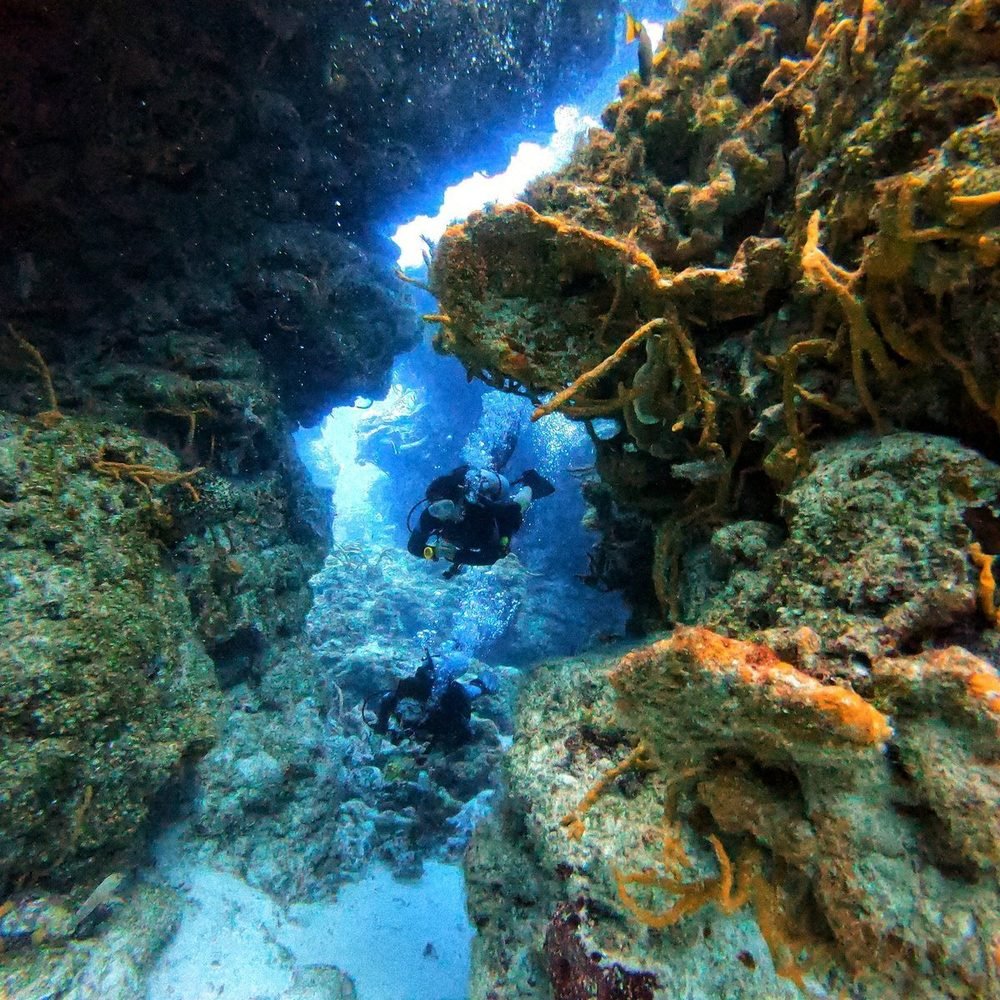 Cozumel: 2 tanques drift para certificados