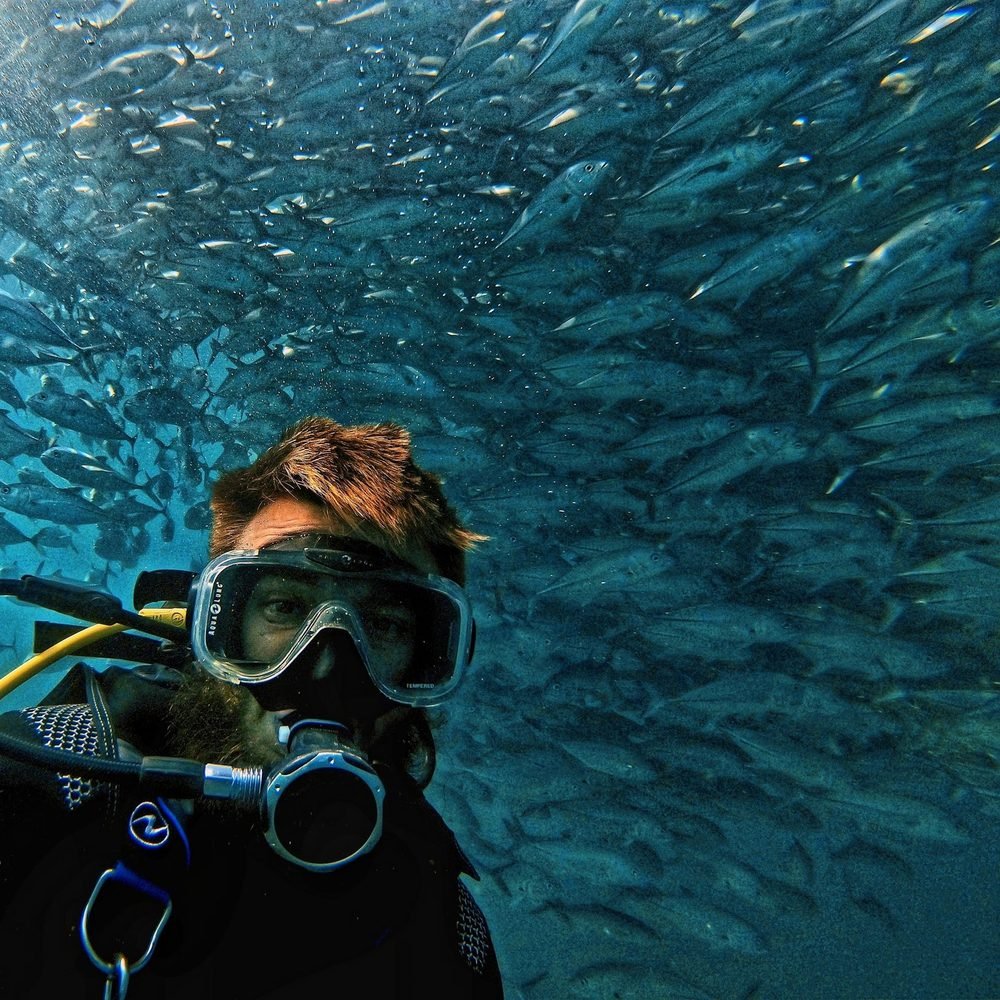 A Scuba Adventours instructor surrounded by a school of jacks