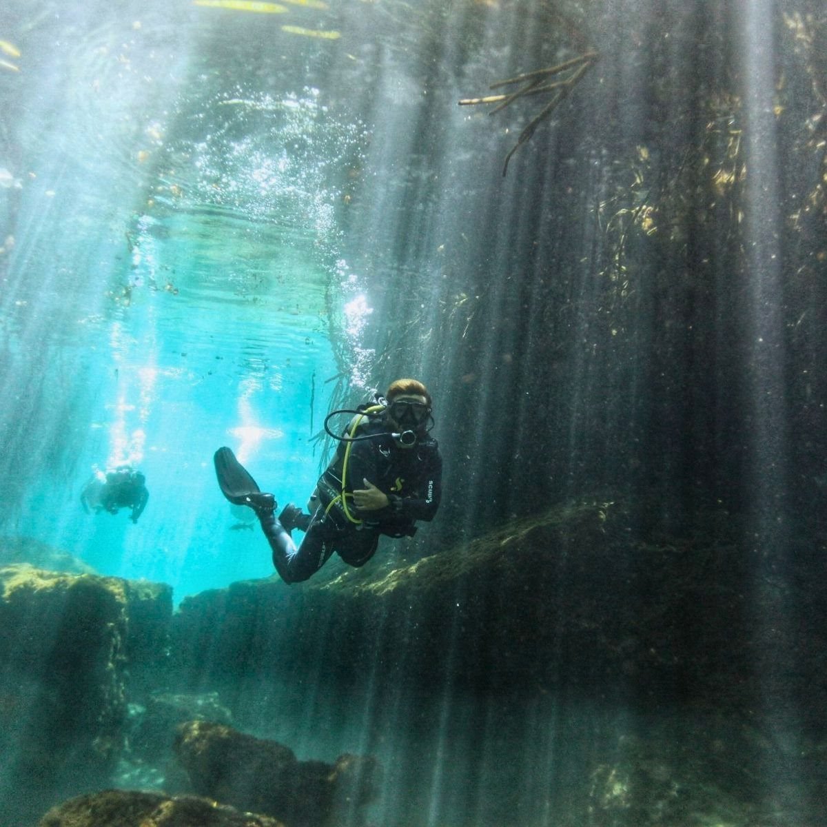 Cenote diving without certification: Casa Cenote