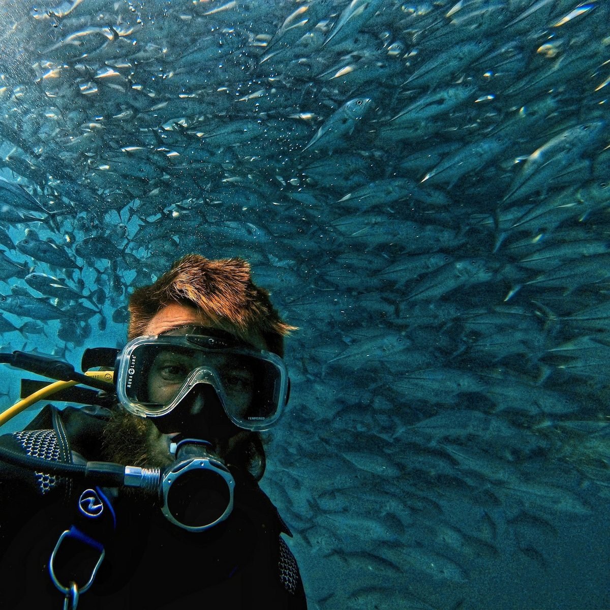 Is diving in Cancun safe? How we work and what we require