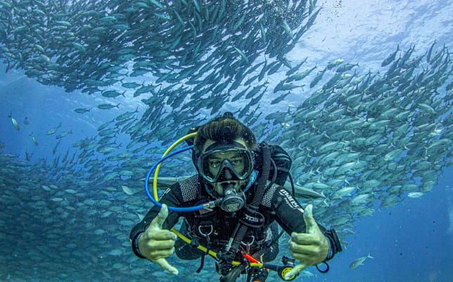 Dives and certifications in Cancun and the Riviera Maya