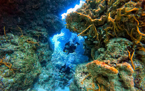 Cozumel