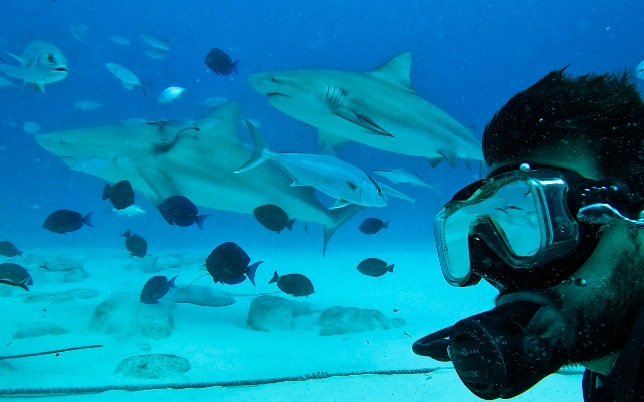 Scuba Diving in Cancun & Riviera Maya