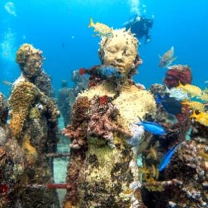 Diving Beginners