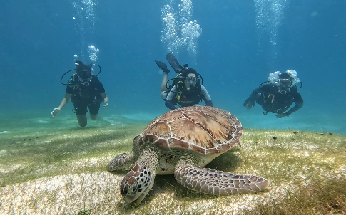 Puerto Morelos