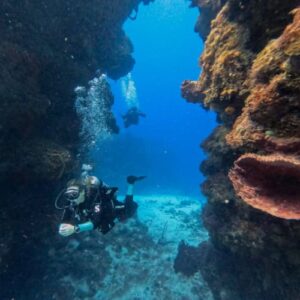 COZUMEL FOR BEGINNERS