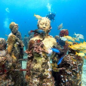 CANCUN - MUSA & Reef