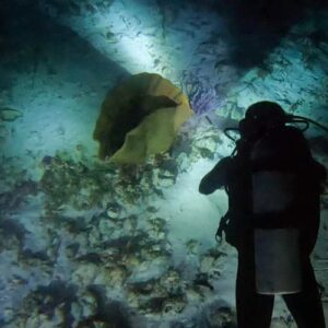 Night Dive 