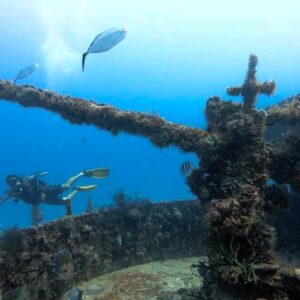 Puerto Morelos - C56 Juan Escutia Shipwreck & Reef
